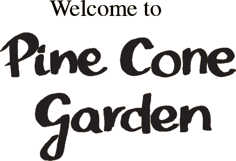 Welcome to Pine Cone Garden