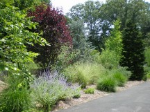Natural Garden